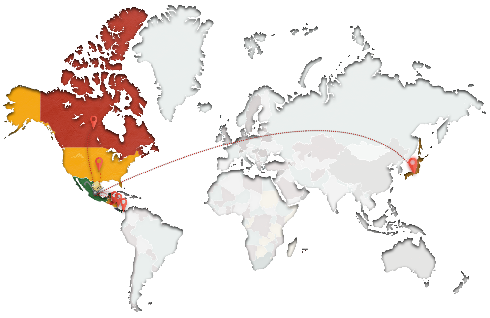 Exportación de productos Chata